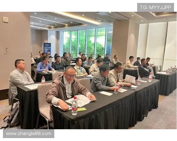 上海排球队的节奏解析与战术深度探讨