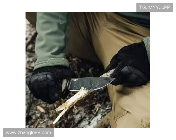 武汉极限运动队中路突破战术解析与实战应用探讨