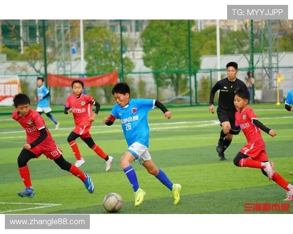 株洲狼腾足球俱乐部发展历程与未来目标分析